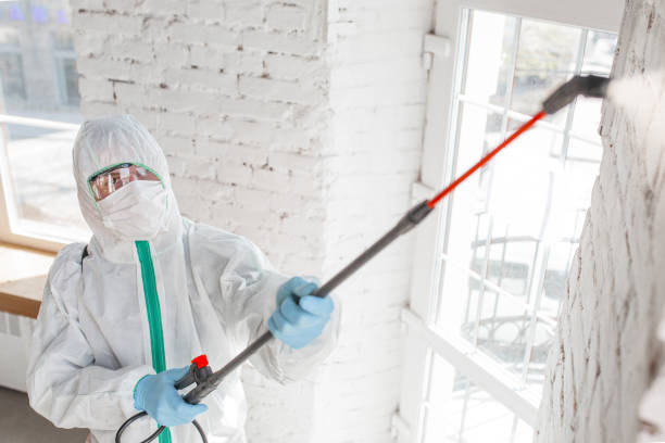 Best Mold Prevention Services  in Unionville, NC