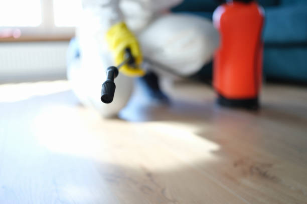 Best Forensic Mold Investigation  in Unionville, NC