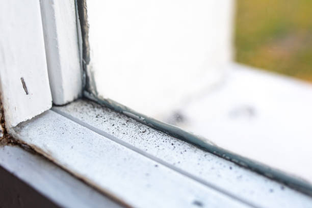 Best Real Estate Mold Inspection  in Unionville, NC