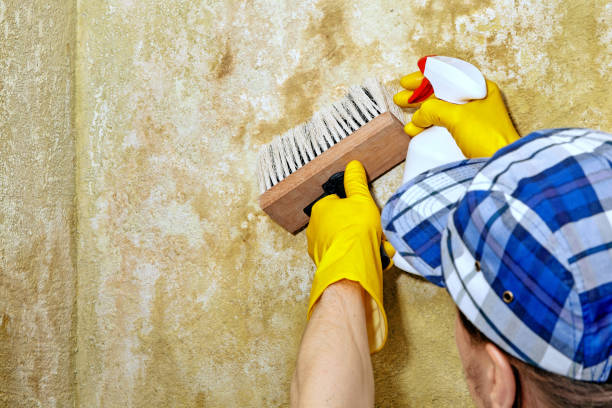 Best HVAC Mold Inspection and Cleaning  in Unionville, NC