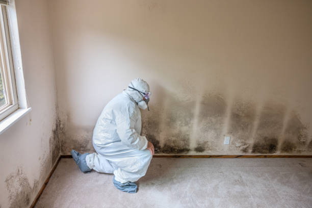 Best Attic Mold Removal  in Unionville, NC