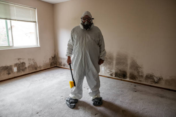 Reliable Unionville, NC Mold Removal Solutions